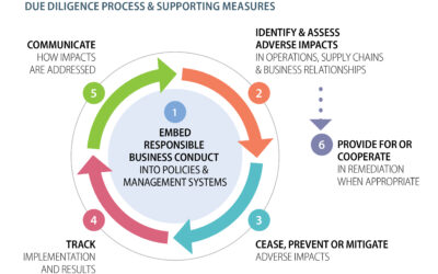 Understanding the OECD Guidelines: A Critical Framework for Responsible Business Conduct